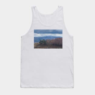 View to the Brocken in winter, Harz, Lower Saxony, Germany, Europe Tank Top